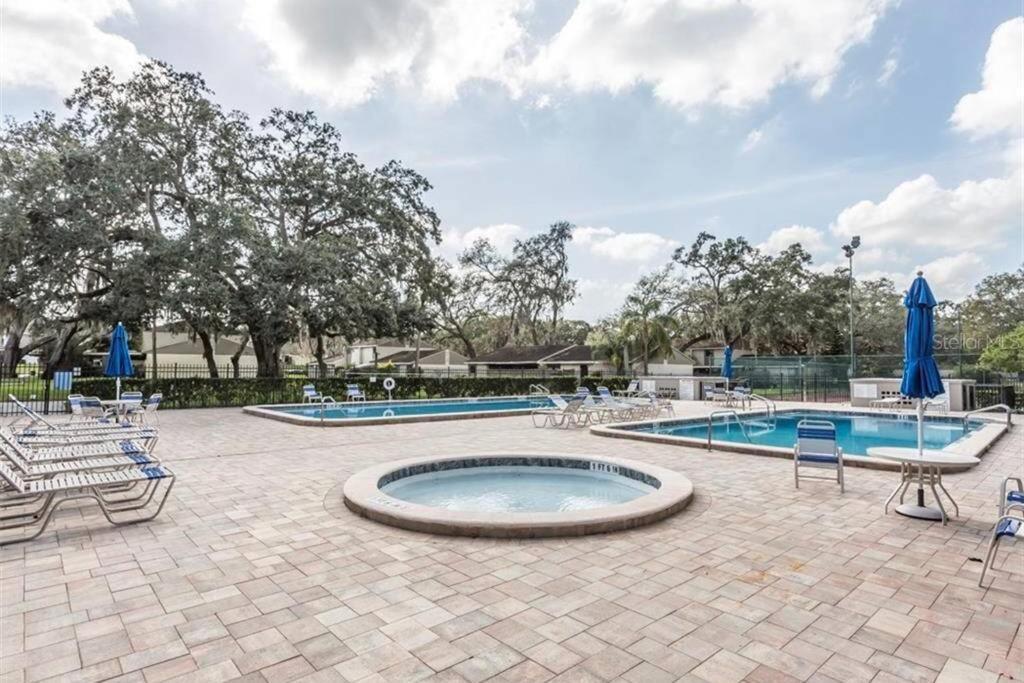 Apartmán Cozy 3 Bed 2.5 Bath Located Near Busch Gardens Tampa Exteriér fotografie