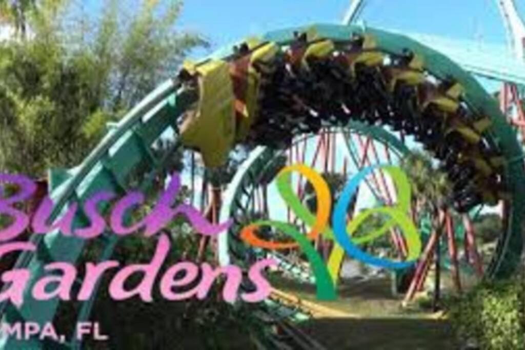 Apartmán Cozy 3 Bed 2.5 Bath Located Near Busch Gardens Tampa Exteriér fotografie