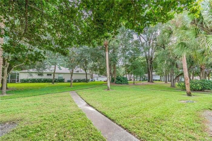 Apartmán Cozy 3 Bed 2.5 Bath Located Near Busch Gardens Tampa Exteriér fotografie